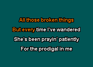 All those broken things

But every time We wandered

Shes been prayin' patiently

Forthe prodigal in me