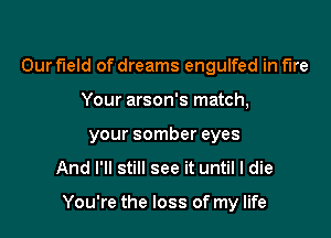 Our field of dreams engulfed in fire
Your arson's match,
your somber eyes
And I'll still see it until I die

You're the loss of my life