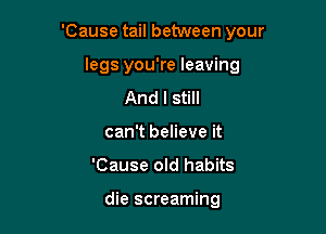 'Cause tail between your

legs you're leaving

And I still
can't believe it
'Cause old habits

die screaming