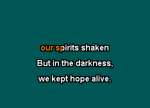our spirits shaken

But in the darkness,

we kept hope alive.