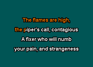 The flames are high,

the piper's call, contagious

A fixer who will numb

your pain, and strangeness