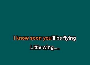 I know soon you'll be flying

Little wing .....