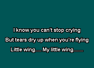 I know you cant stop crying

But tears dry up when you re flying

Little wing ..... My little wing ........