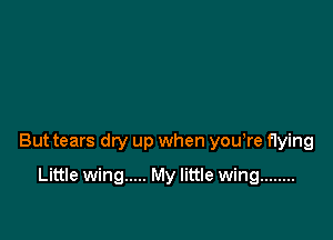 But tears dry up when you re flying

Little wing ..... My little wing ........