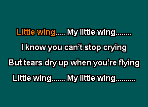 Little wing ..... My little wing ........
I know you can t stop crying
But tears dry up when yowre flying
Little wing ....... My little wing ..........