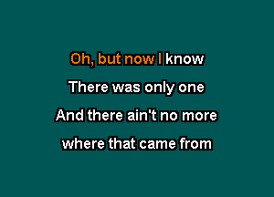 Oh, but now I know

There was only one

And there ain't no more

where that came from