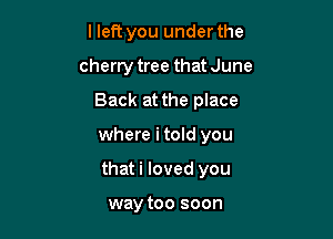 lleft you under the
cherry tree that June
Back at the place

where i told you

thati loved you

way too soon