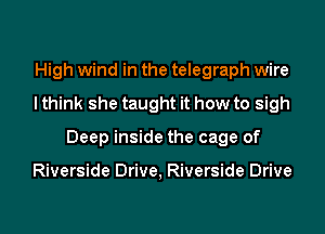 High wind in the telegraph wire
I think she taught it how to sigh
Deep inside the cage of

Riverside Drive, Riverside Drive