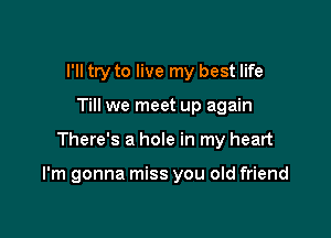 I'll try to live my best life
Till we meet up again

There's a hole in my heart

I'm gonna miss you old friend