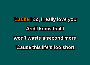 'Cause I do, I really love you

And I know that I
won't waste a second more

'Cause this life's too short