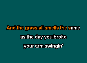 And the grass all smells the same

as the day you broke

your arm swingin'