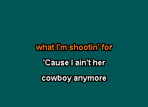 what I'm shootin' for

'Cause I ain't her

cowboy anymore