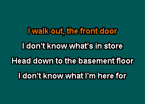 I walk out, the front door

I don't know what's in store
Head down to the basement floor

I don't know what I'm here for