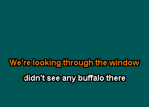 We're looking through the window

didn't see any buffalo there