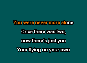 You were never more alone

Once there was two,

now there'sjust you

Your flying on your own