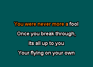 You were never more a fool

Once you break through,

its all up to you

Your flying on your own