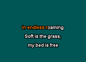 in endless roaming

8011 is the grass,

my bed is free