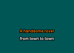 A handsome rover

from town to town