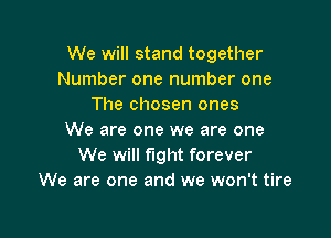 We will stand together
Number one number one
The chosen ones

We are one we are one
We will fight forever
We are one and we won't tire
