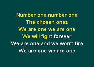 Number one number one
The chosen ones
We are one we are one

We will fight forever
We are one and we won't tire
We are one we are one