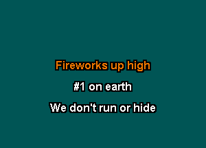 Fireworks up high

131 on earth

We don't run or hide