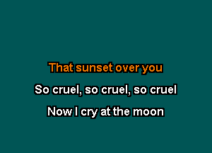 That sunset over you

So cruel, so cruel, so cruel

Nowl cry at the moon