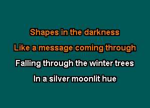 Shapes in the darkness

Like a message coming through

Falling through the winter trees

In a silver moonlit hue