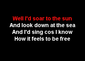 Well I'd soar to the sun
And look down at the sea

And I'd sing cos I know
How it feels to be free