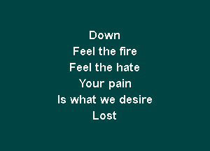 Down
Feel the fire
Feel the hate

Your pain
Is what we desire
Lost