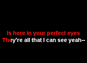 ls here in your perfect eyes
They're all that I can see yeah--