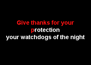 Give thanks for your
protection

your watchdogs of the night