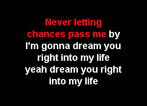 Never letting
chances pass me by
I'm gonna dream you

right into my life
yeah dream you right
into my life