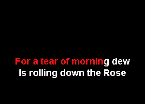 For a tear of morning dew
ls rolling down the Rose