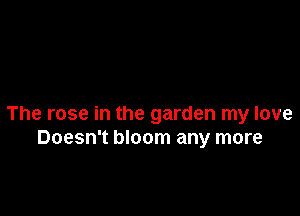 The rose in the garden my love
Doesn't bloom any more