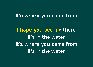 It's where you came from

I hope you see me there

It's in the water
It's where you came from
It's in the water