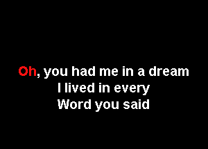 Oh, you had me in a dream

I lived in every
Word you said