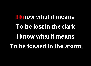 I know what it means
To be lost in the dark

I know what it means
To be tossed in the storm