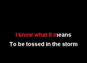 I know what it means
To be tossed in the storm
