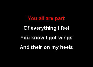 You all are part
Of everything I feel

You know I got wings

And their on my heels