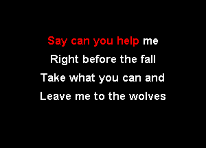 Say can you help me
Right before the fall

Take what you can and

Leave me to the wolves