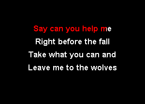 Say can you help me
Right before the fall

Take what you can and

Leave me to the wolves