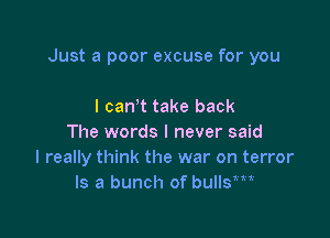 Just a poor excuse for you

I can't take back
The words I never said
I really think the war on terror
Is a bunch of bullsm