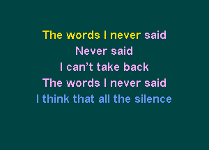 The words I never said
Never said
I cant take back

The words I never said
I think that all the silence