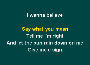 I wanna believe

Say what you mean

Tell me I'm right
And let the sun rain down on me
Give me a sign