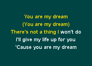 You are my dream
(You are my dream)
There's not a thing I won't do

I'll give my life up for you
'Cause you are my dream
