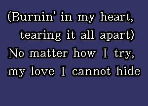 (Burniw in my heart,

tearing it all apart)
No matter how I try,
my love I cannot hide