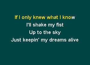 If I only knew what I know
I'll shake my fist

Up to the sky
Just keepin' my dreams alive