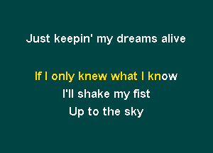 Just keepin' my dreams alive

lfl only knew what I know
I'll shake my fist
Up to the sky