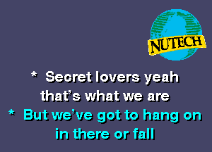 ' Secret lovers yeah
thafs what we are
' But weWIe got to hang on
in there or fall