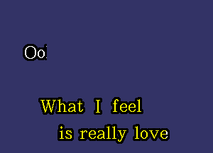 00?

What I feel

is really love